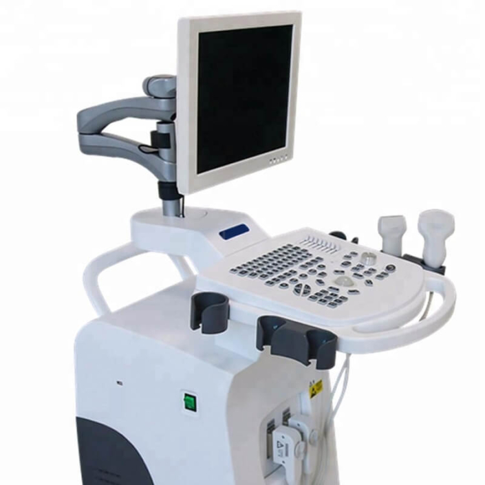 Dog Ultrasound Machine Trolley for Pregnancy Checking PM V15T 4 705x705 - Pet Ultrasound