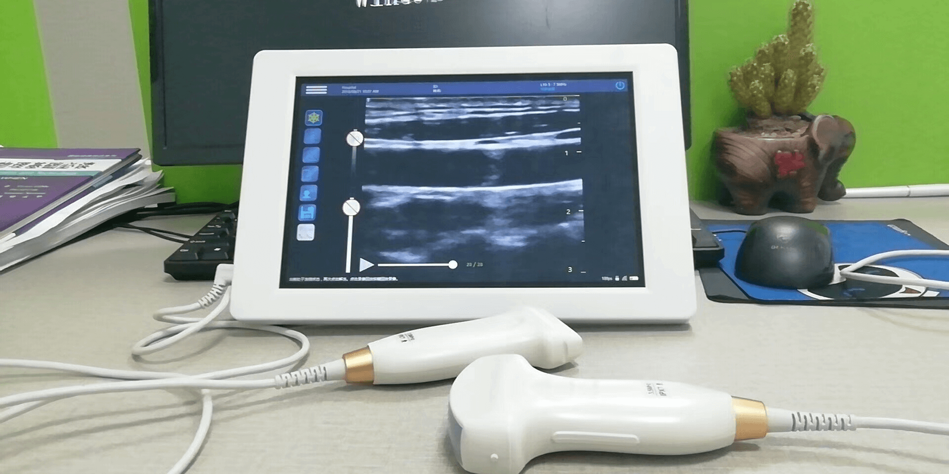 Mobile USB veterinary ultrasound probes for sale PM V4U 6 - Pig Ultrasound