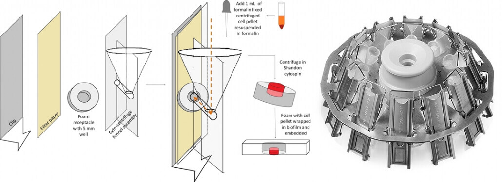 Cytocentrifuge Principles 1030x375 1 - Cytocentrifuge