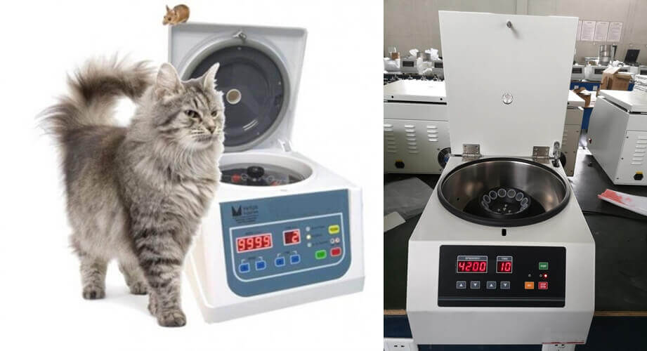 Centrifuge Veterinary - Different Types of Centrifuges, Functions, Uses and Prices, How to Choose?