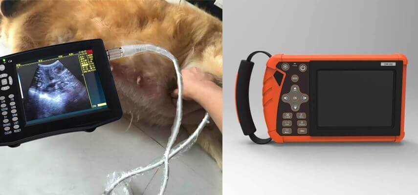 Handheld Veterinary Ultrasound - Veterinary Ultrasound