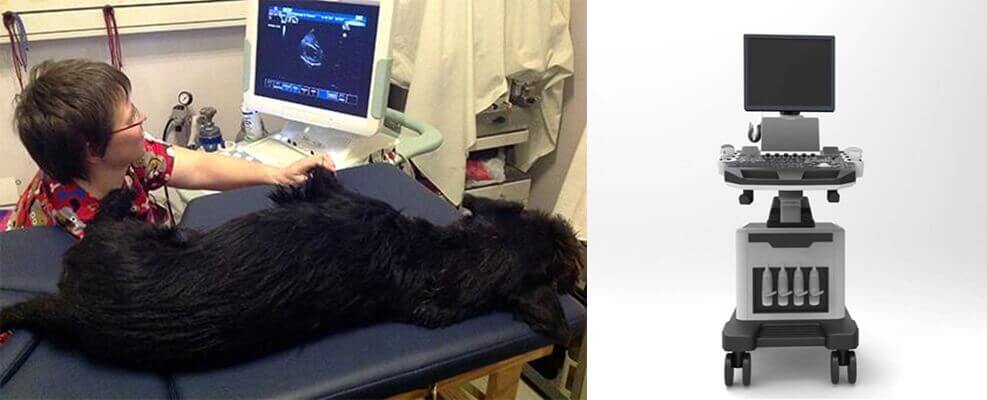 Trolley Veterinary Ultrasound - Veterinary Ultrasound