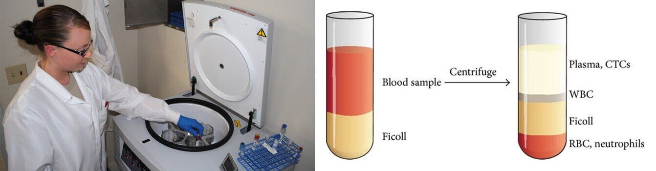 What Does A Centrifuge Do - Centrifuge