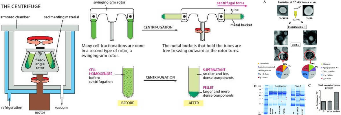 What Is Centrifugation In Biology - Centrifuge