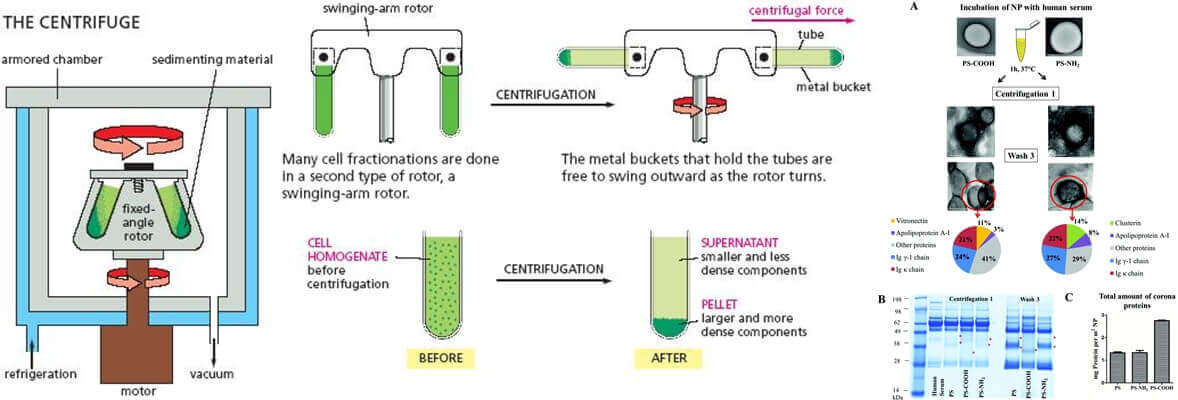 What Is Centrifugation In Biology