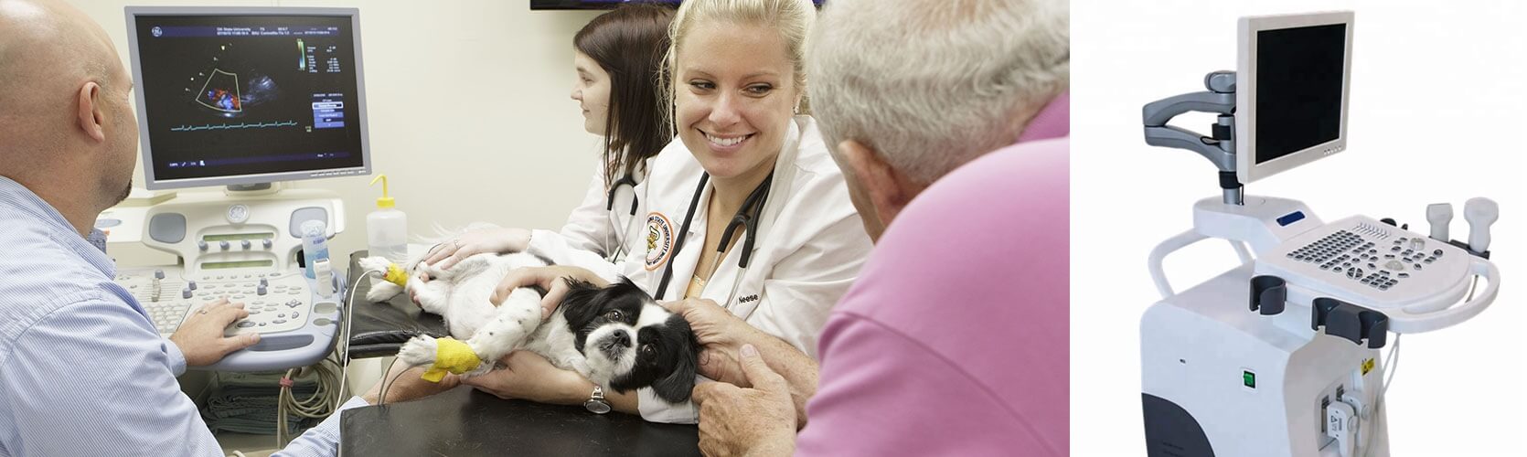 What can puppy ultrasound do - Puppy Ultrasound